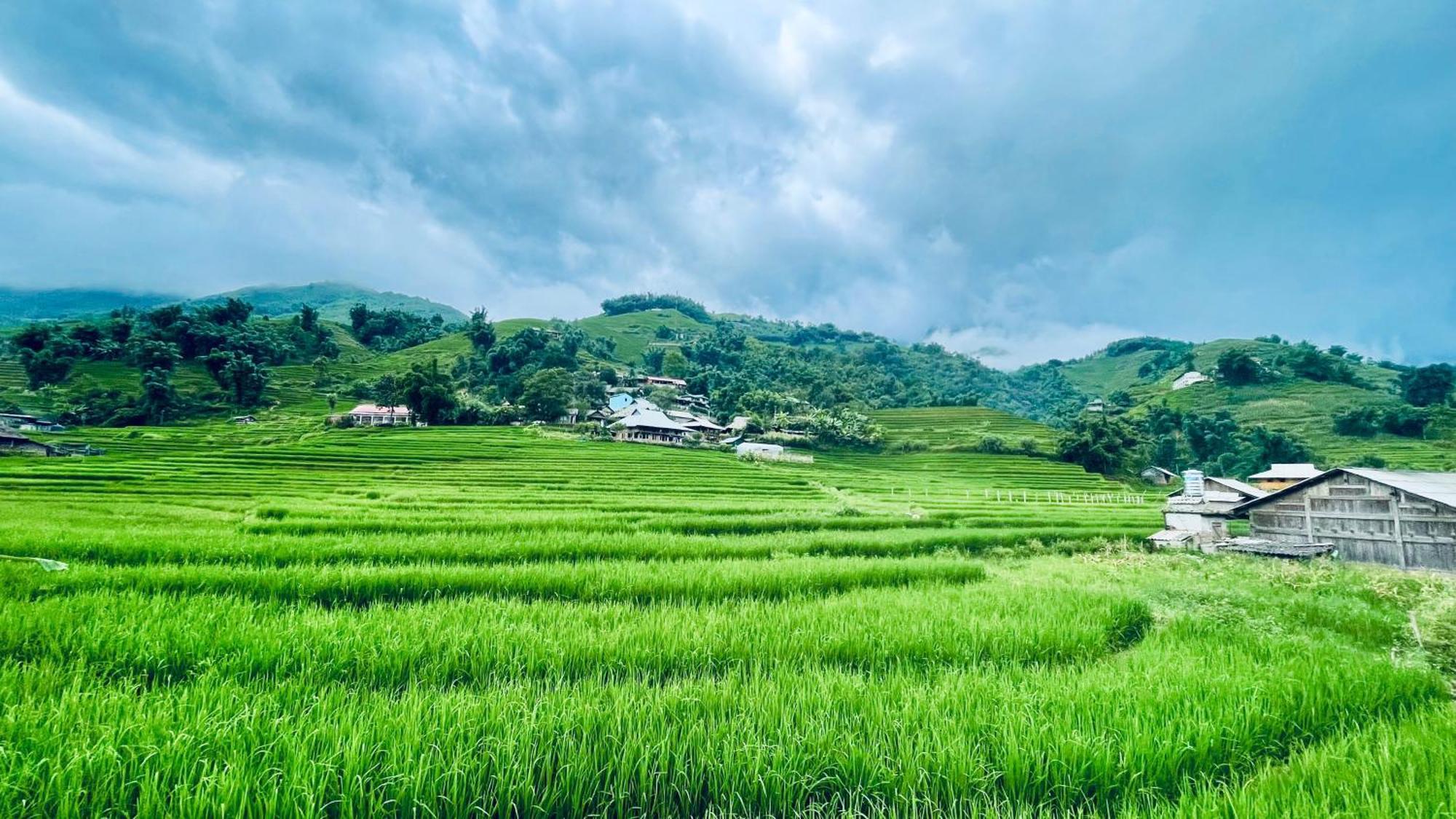 Auberge de jeunesse Eco Rice Fields House à Sa Pa Extérieur photo