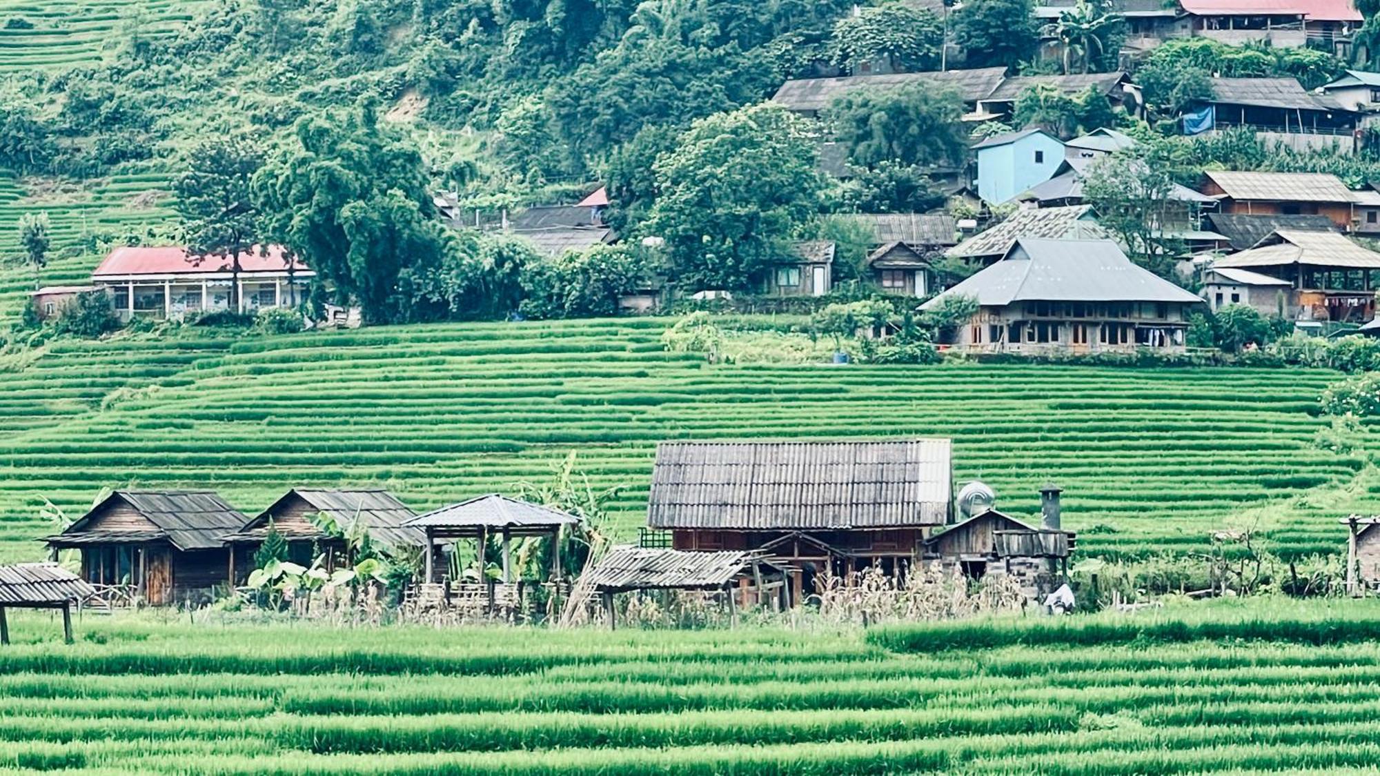 Auberge de jeunesse Eco Rice Fields House à Sa Pa Extérieur photo